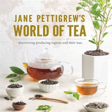 An Introduction To The World Of Tea