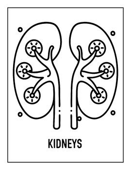 Anatomically Inspired Art Coloring Book