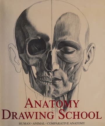 Anatomy Drawing School