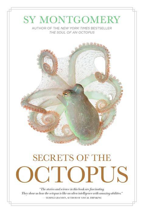 Animal Drawing Book(Octopus)
