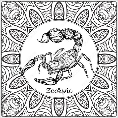 Animals Coloring Books for Adults - Large Print - Scorpio