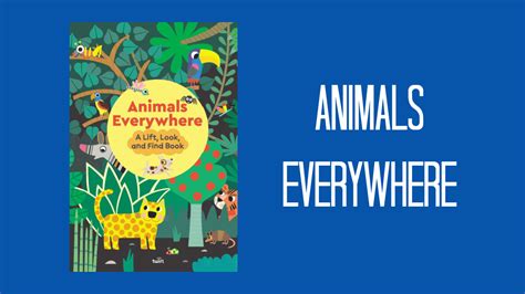Animals Everywhere