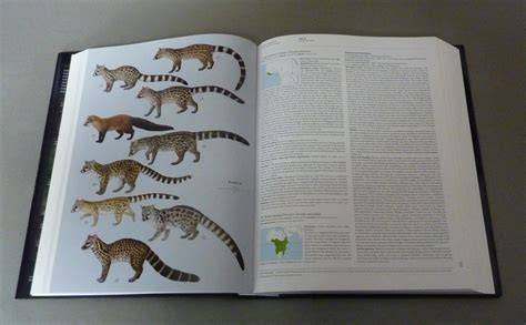 Animals around the world: Volume 1