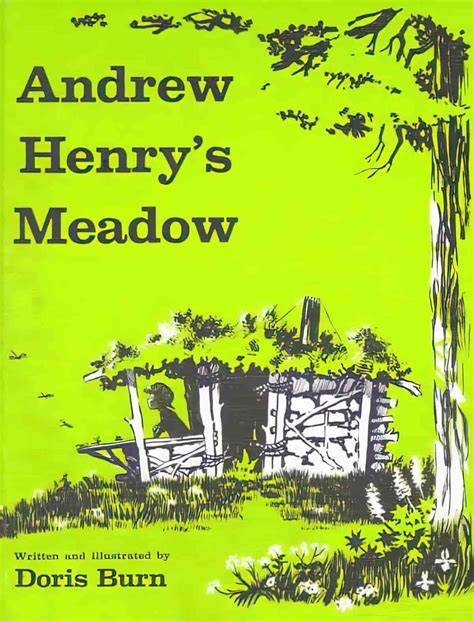Anrew Henry's Meadow