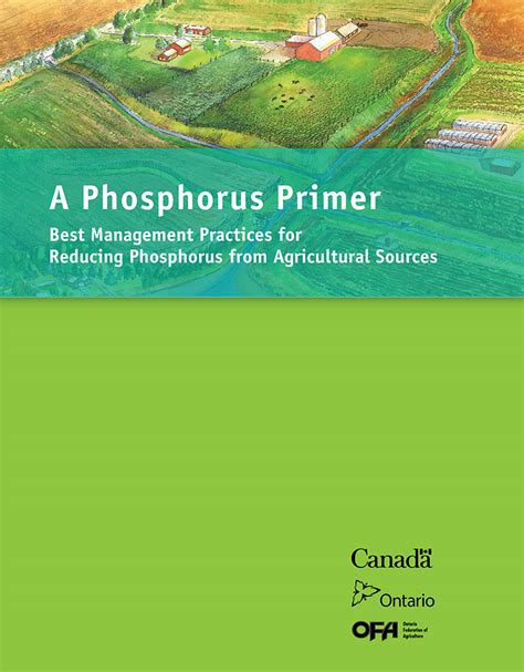 BMPs for phosphorus management (WQ)