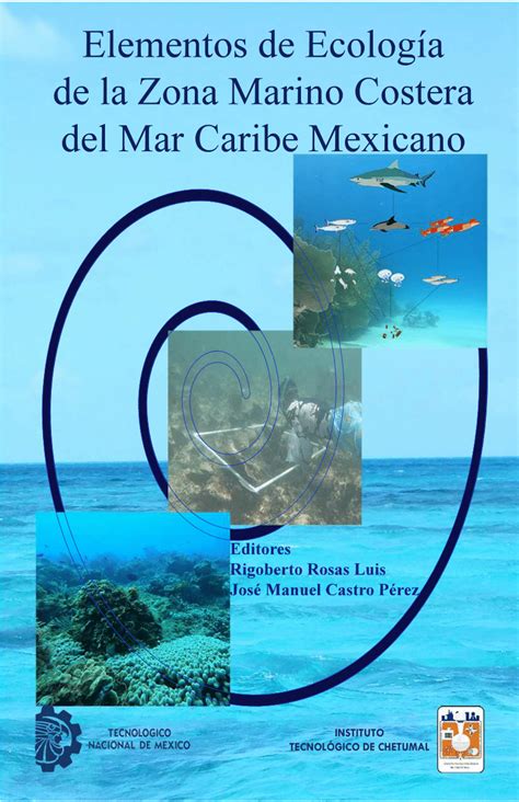 BUCEADOR DE MAR ABIERTO