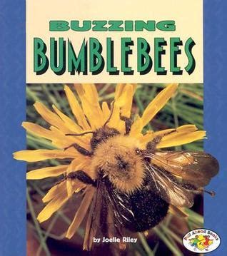 Backpacks and Bumblebees