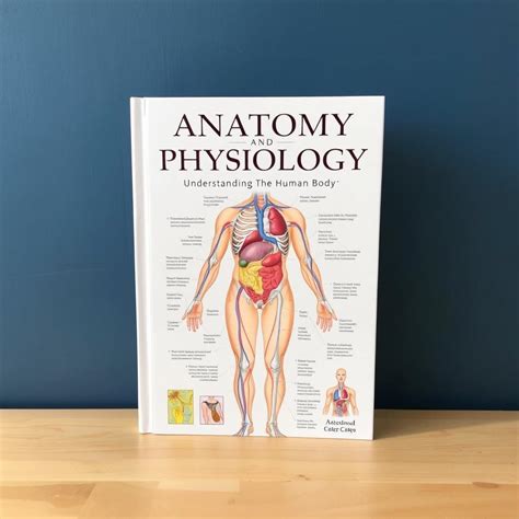 Basic Concepts of Anatomy and Physiology