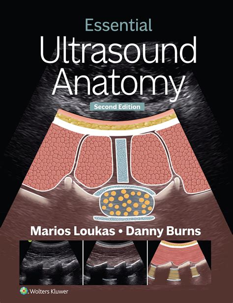 Basic Ultrasound
