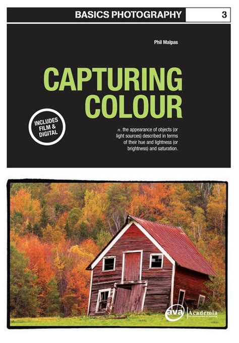 Basics Photography: Capturing Colour