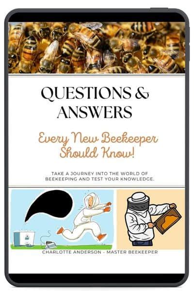 Beekeeping Questions and Answers