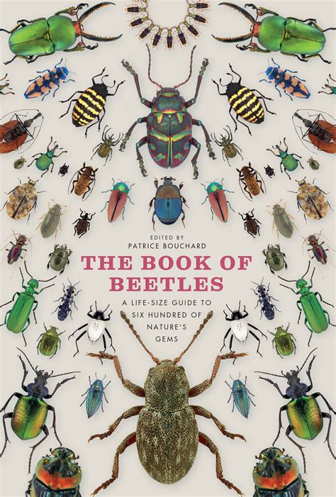 Beetles of the World