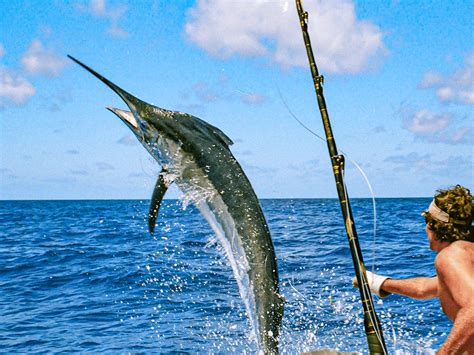 Beginners Guide To Deep Sea Fishing