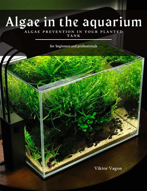 Beginning the Aquarium