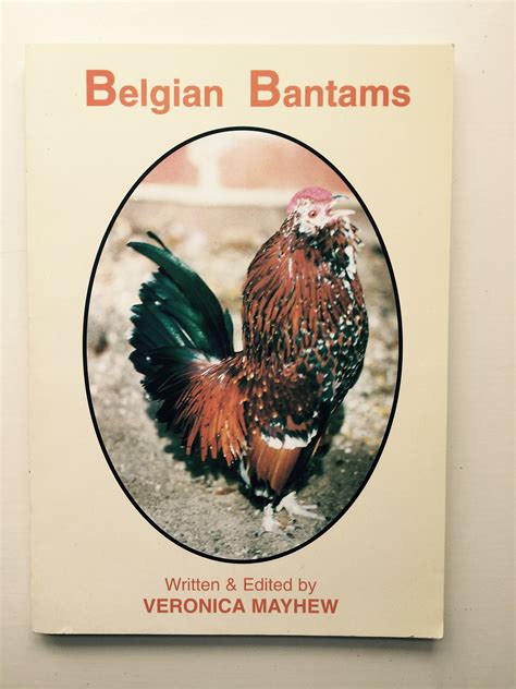 Belgian