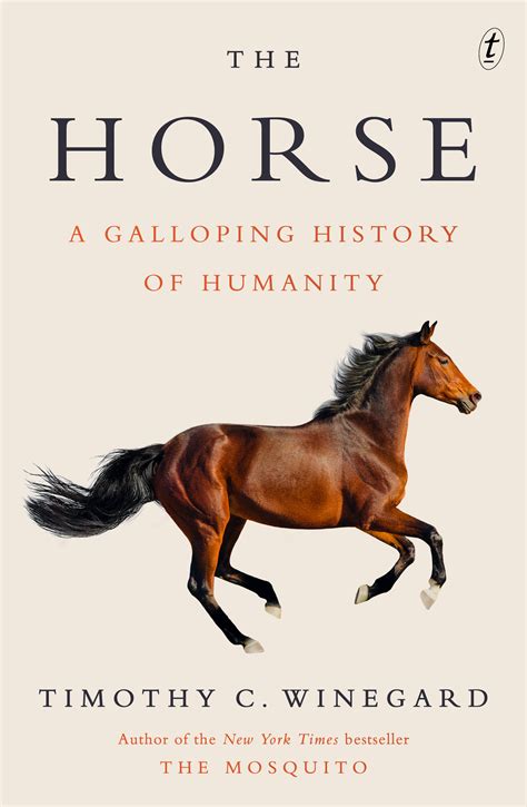 Believing In Horses