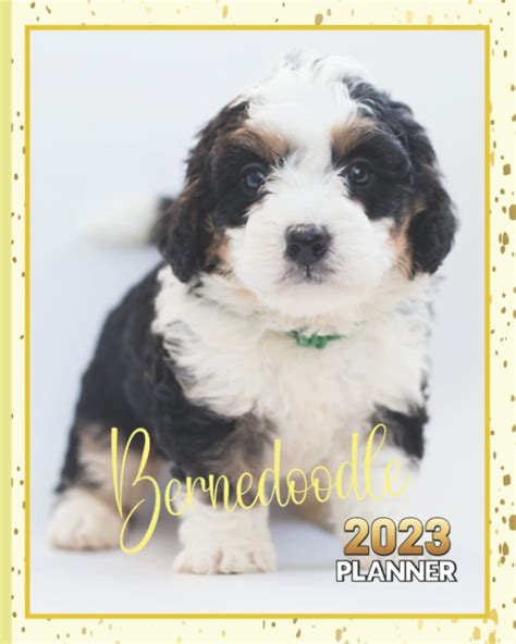 Bernedoodle Puppies Planner 2023