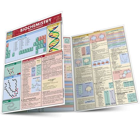 Biochemistry: a QuickStudy Laminated Reference Guide