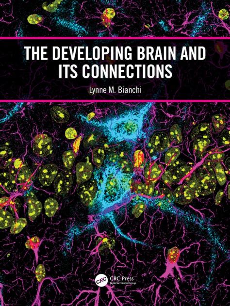 Biochemistry of the developing brain