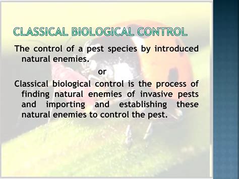 Biological Control of Insect Pests