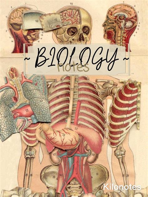 Biology Notebook: Notebook