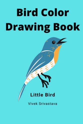 Bird Color Drawing Book