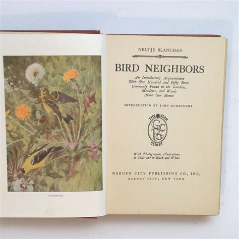 Bird Neighbors