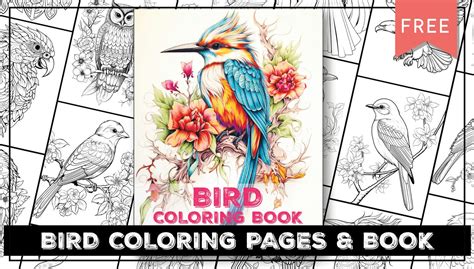 Birds Coloring Book