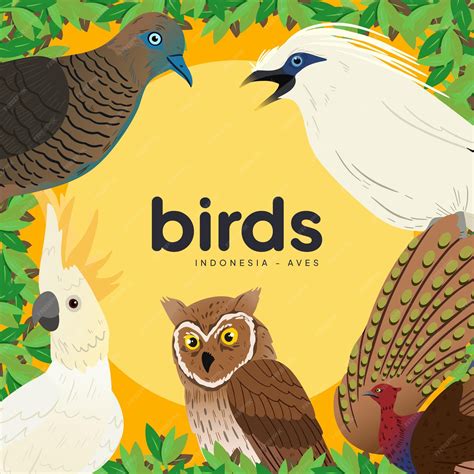Birds Drawing Book