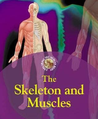 BodyWorks - Skeleton and Muscles