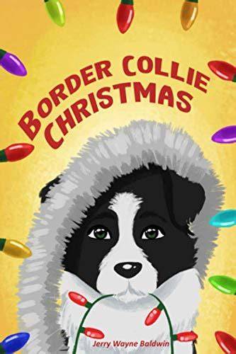 Border Collie Christmas