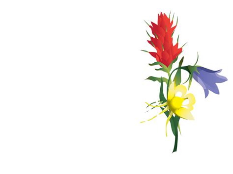 Botanical explorers of Colorado