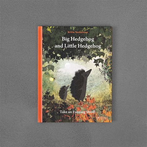 Brave Little Hedgehog