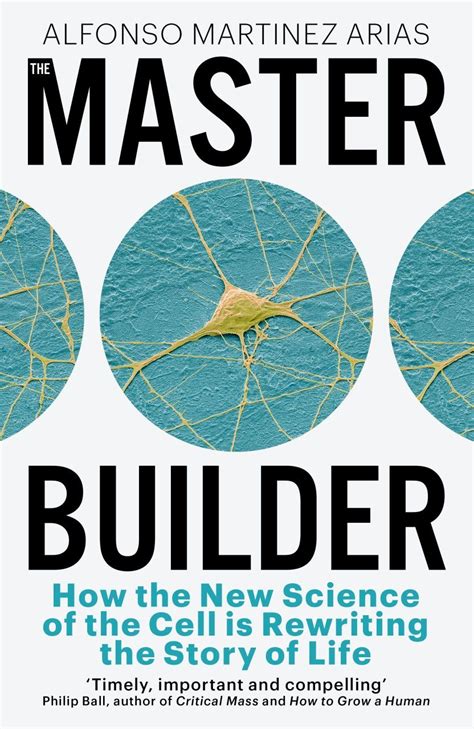 Bridges: A Master Builder Unit