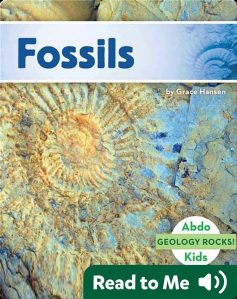 British Mesozoic Fossils
