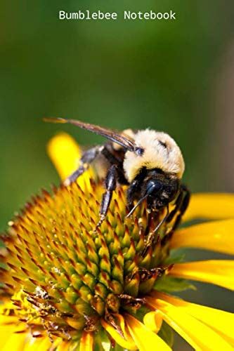 Bumblebee Notebook
