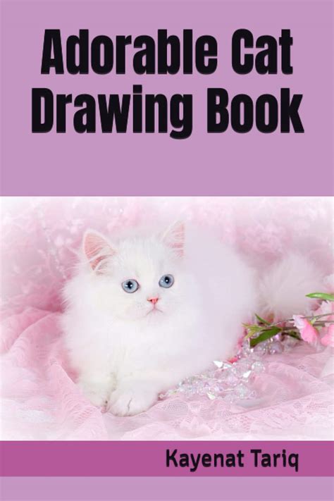 CAT Drawing book