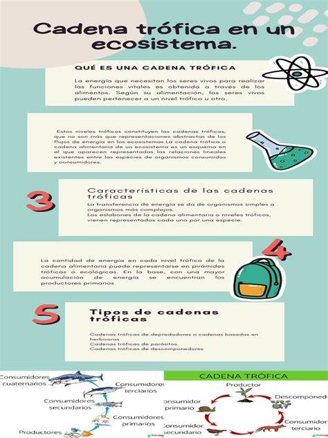 Cadena atrófica