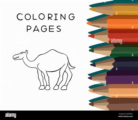 Camel Coloring & Drawing Book