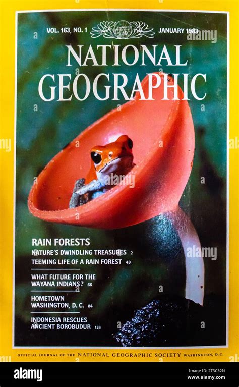 Careers 1983: National