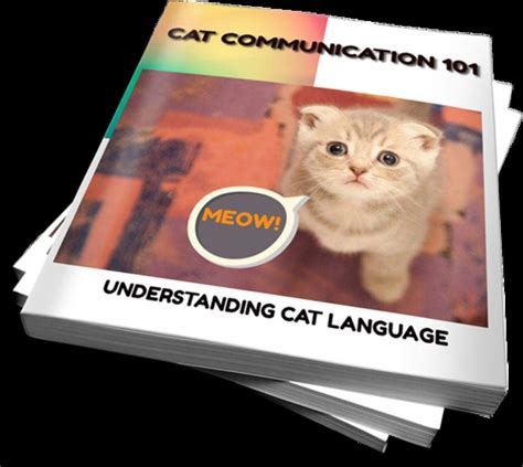Cat Communication 101: Understanding Cat Language