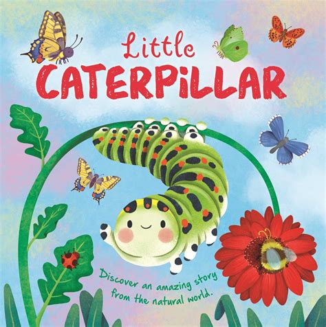 Caterpillar Coloring Drawings Book