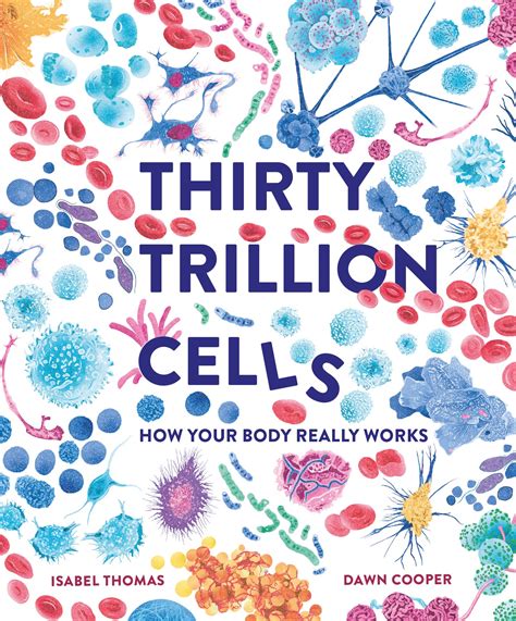 Cells