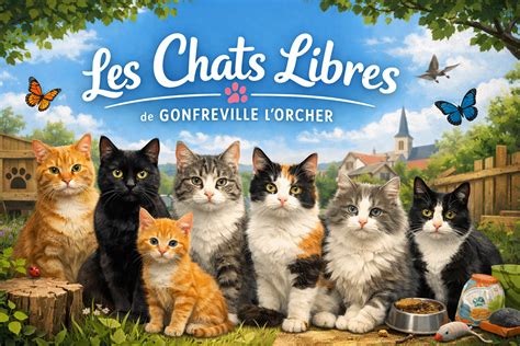 Chats libres