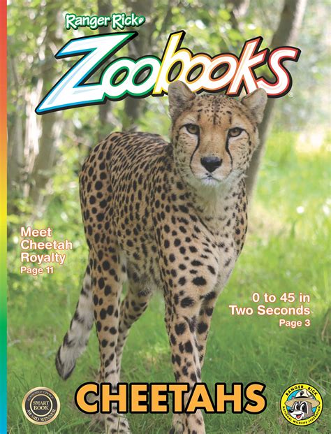 Cheetahs
