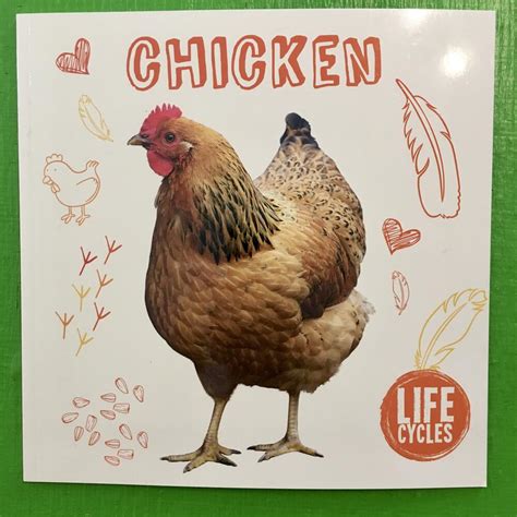 Chicken (Life Cycles)