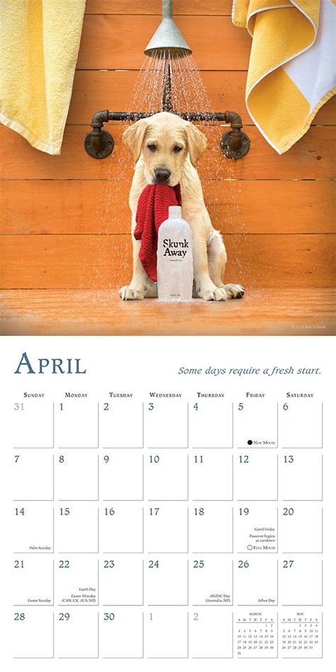 Chile Peppers 2019 Wall Calendar