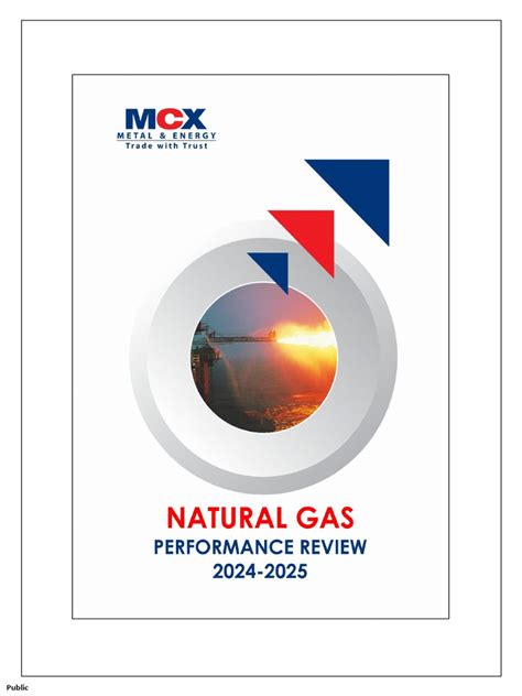 China Natural Gas Report