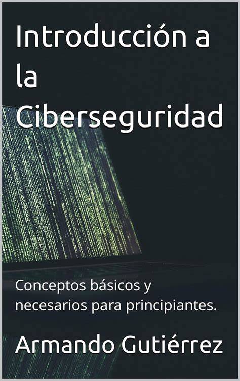 Ciberseguridad (Spanish Edition)