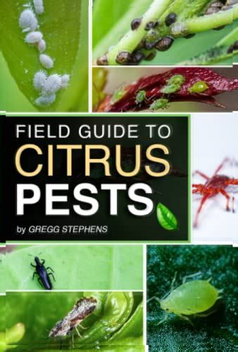 Citrus pest Colour Guide
